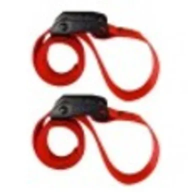 1 INCHES X 2 FEET CINCH STRAP TIE DOWN WITH CAM 1500 LB 2 PACK