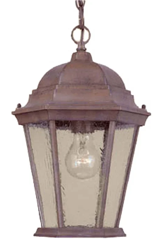 Acclaim Lighting – 5206BW/SD – One Light Hanging Lantern – Richmond – Burled Walnut