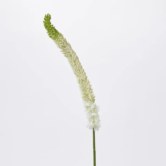 Blooming Green & White Foxtail Lily Blossoms Lush Faux Floral Stem – 44″