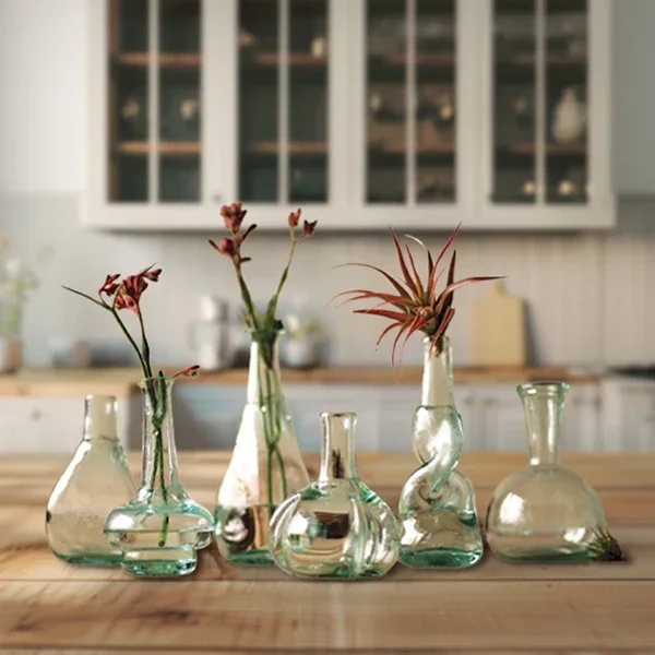 Handblown Bottle Bud Vases, Set of 6 – Decor Steals