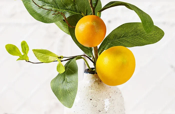 Lemon Branch Decor – Decor Steals