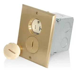 Leviton 1-Gang Floor Box Receptacle Assembly 20 Amp 125V NEMA 5-15R 2P 3W Tamper-Resistant Duplex Receptacle Straight Blade Brass (25349-TFB)