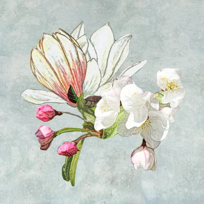 Magic in the air – blossoming