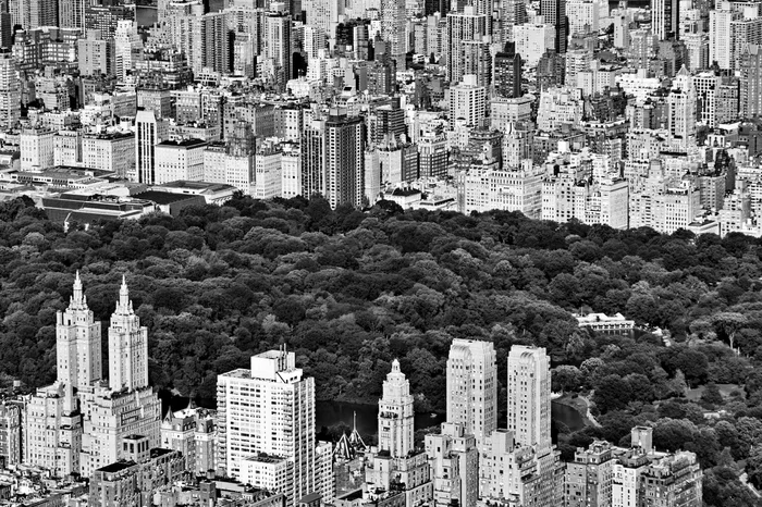 NYC Central Park
