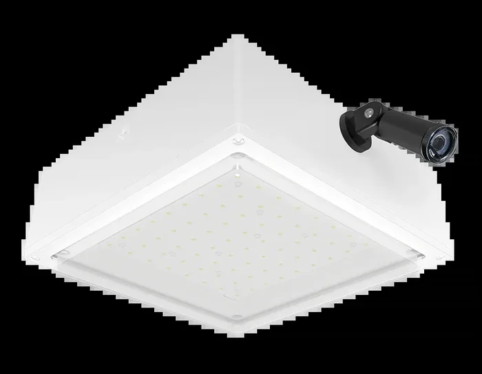 RAB VanLED 75W 5000K Drop Frosted Lens 120V Swivel Photocell White (VANLED75FRW/PCS)