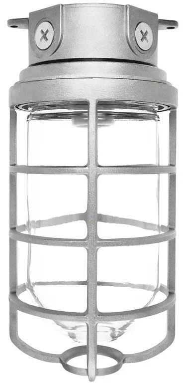 RAB Vaporproof 200 Ceiling 4 Inch Box 1/2 Inch Black Glass Globe Cast Guard (VX200DGB)