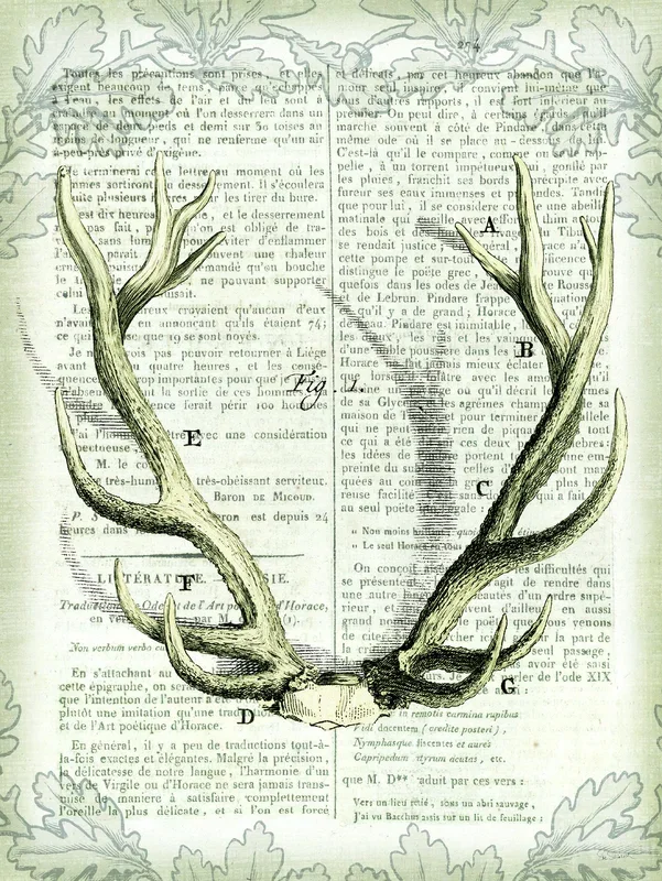 Regal Antlers on Newsprint I