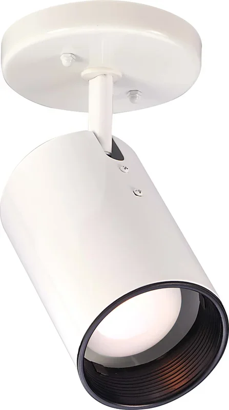 SATCO/NUVO 1 Light R20 Straight Cylinder (SF76-412)