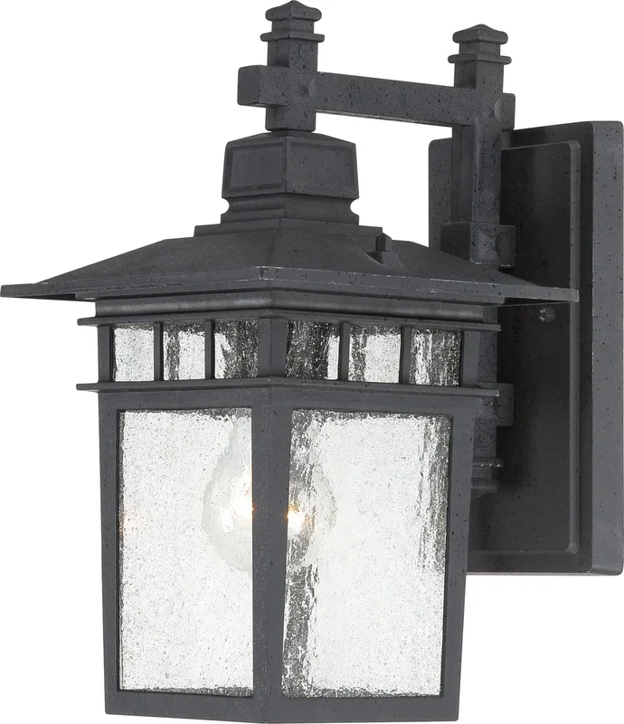 SATCO/NUVO Cove Neck 1-Light 12 Inch Outdoor Lantern With Clear Seed Glass (60-4953)