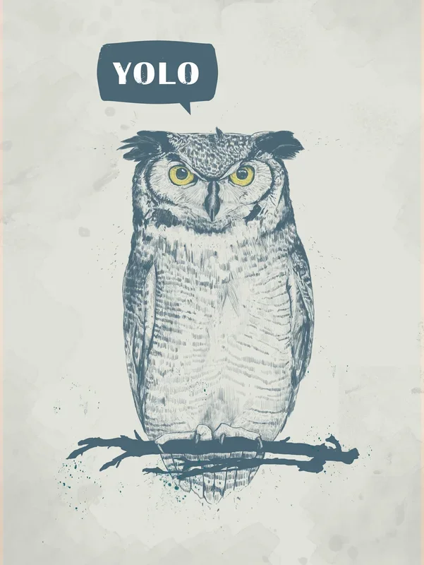 YOLO